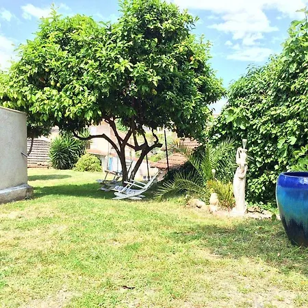Moderne A Avec Jardin Et Terrasse Antibes