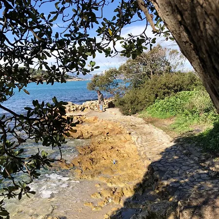 Daire Moderne A Avec Jardin Et Terrasse Antibes