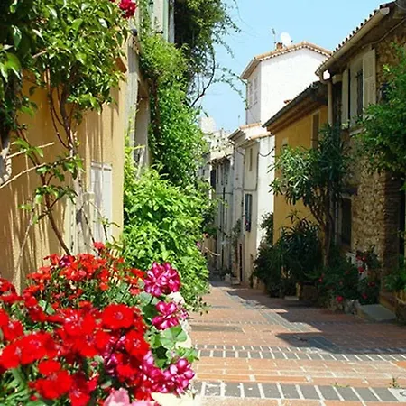 Moderne A Avec Jardin Et Terrasse Appartement Antibes