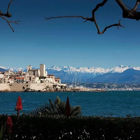 Moderne A Avec Jardin Et Terrasse * Antibes