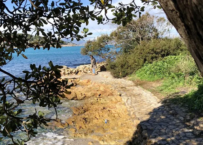 Apartment Moderne A Avec Jardin Et Terrasse Antibes